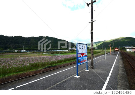 樽見鉄道のレールバス 132491486