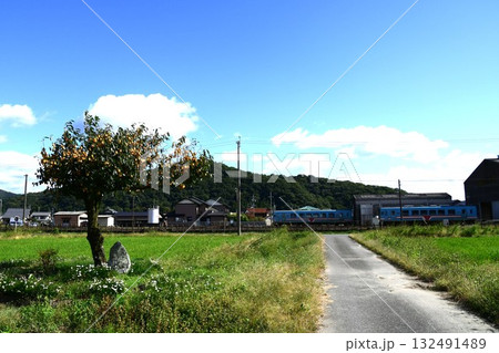 樽見鉄道のレールバス 132491489