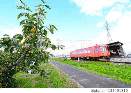 樽見鉄道のレールバス 132491510