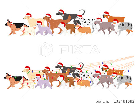 クリスマスのファッションで散歩する犬のグループ 132491692
