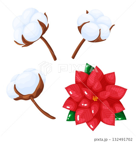 Christmas Cotton and Poinsettia Set 132491702