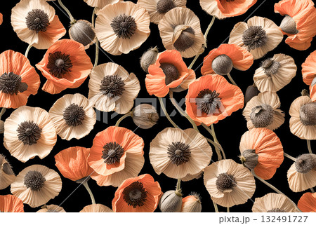 Dry poppy flowers and heads creative image as background 132491727