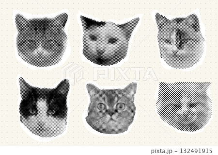 Cat head halftone collage sticker set cutout paper, trendy collection portrait retro y2k pet, funky emoticon animal, pop aesthetic. Meme head with speech bubble. Funny kitty. 132491915