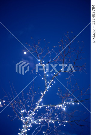 冬の夜空に輝くイルミネーションと月 132492794