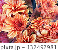 オレンジ色のダリアの花が咲き誇る華やかなクローズアップ 132492981