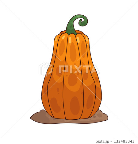 illustration of Pumpkin illustration of Pumpkin 132493343