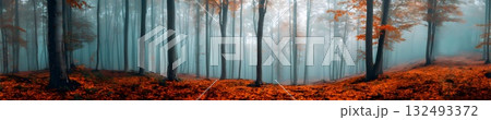 A panoramic view of a misty forest with tall trees. The ground is covered in vibrant orange leaves, creating a serene autumn atmosphere. 132493372