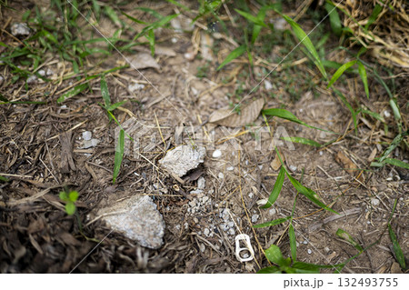 Patchy Dried Grass from Sun And Heat, A close up photograph showing parched ground and burned grass, symbolizing the harsh effects of sunlight and extreme drought. Patchy Dried Grass from Sun And Heat, A close up photograph showing parched ground and burned grass, symbolizing the harsh effects of sunlight and extreme drought. 132493755