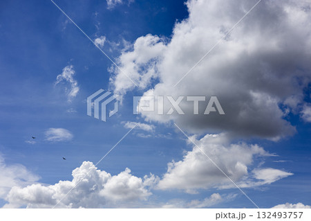 Freedom Flight Of Bird In Bright Sky, A graceful bird soars in a bright sky, wings spread against golden sunlight, perfect for a nature photography shot or a liberating spirit showcase. 132493757