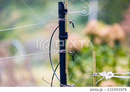 獣害対策 電気柵 獣害対策 電気柵 132493976