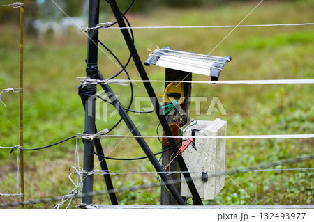 獣害対策　電気柵 132493977