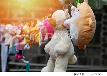 Many drying toys hang on rope 132494208