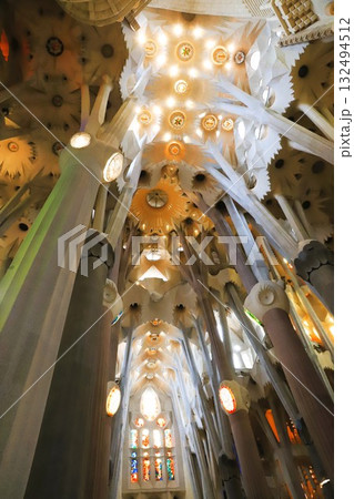 サグラダファミリア内部の自然界の森をイメージした「樹木の様な柱」の形状とデザイン サグラダファミリア内部の自然界の森をイメージした「樹木の様な柱」の形状とデザイン 132494512