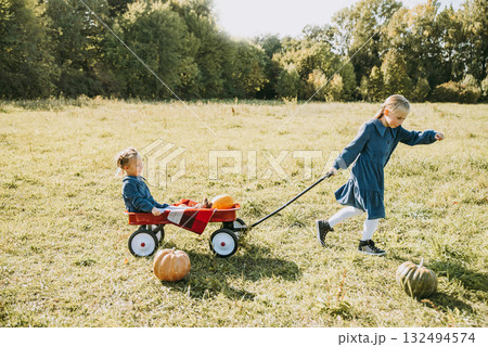 Autumn harvest organic pumpkins and apples. Happy little sisters girl on pumpkin patch on cold autumn day, with lot of pumpkins for halloween or thanksgiving and red wagon. Children on pumpkin field. 132494574
