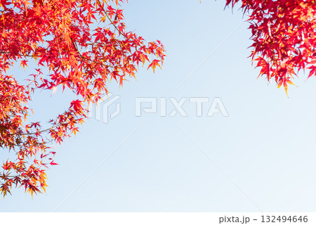 深まる秋に染まる紅葉の風景 132494646