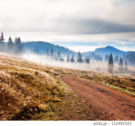 rural road through romania mountain landscape in autumn at sunrise. coniferous forest on rolling hills on a foggy morning in apuseni natural park. beautiful countryside travel background. cloudy sky rural road through romania mountain landscape in autumn at sunrise. coniferous forest on rolling hills on a foggy morning in apuseni natural park. beautiful countryside travel background. cloudy sky 132495585