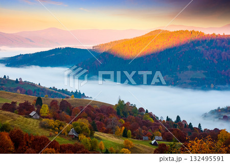 carpathian mountain landscape in autumn at sunrise. mist in the distant valley. colorful trees on hills. beautiful countryside scene of ukraine in morning light and fog. picturesque rural place 132495591