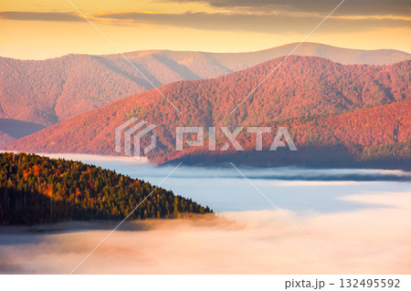 carpathian mountain landscape in autumn at sunrise. mist in the distant valley. colorful trees on hills. beautiful countryside scene of ukraine in morning light and fog. picturesque rural place 132495592