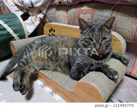 爪とぎイスでくつろぐ猫 爪とぎイスでくつろぐ猫 132495779