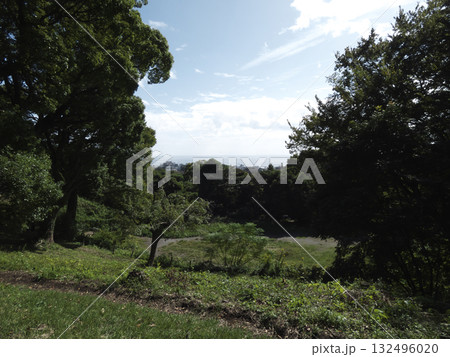 小田原城山から望む海と青空、緑豊かな広場の風景 132496020