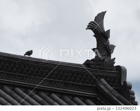 小田原城の屋根に佇む鳥と雄大な鯱瓦 小田原城の屋根に佇む鳥と雄大な鯱瓦 132496023