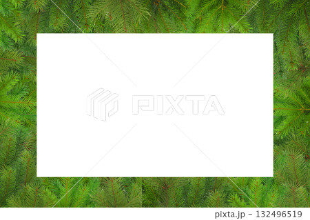 Green fir branches outline a blank white space, isolated, PNG 132496519