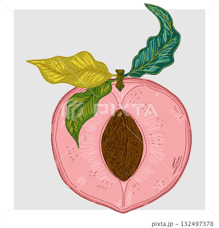 background with tropical fruit 132497378