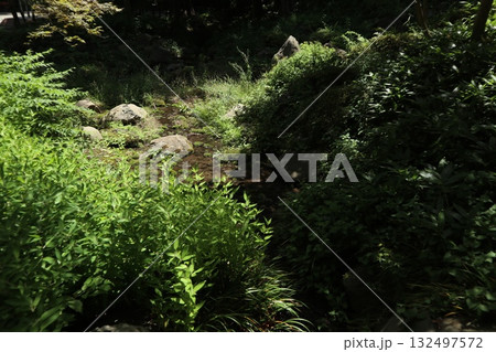 港区　芝公園 132497572