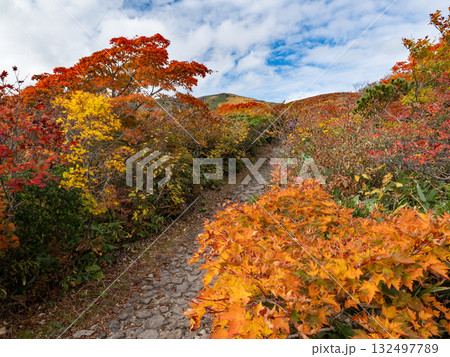 栗駒山の紅葉 栗駒山の紅葉 132497789