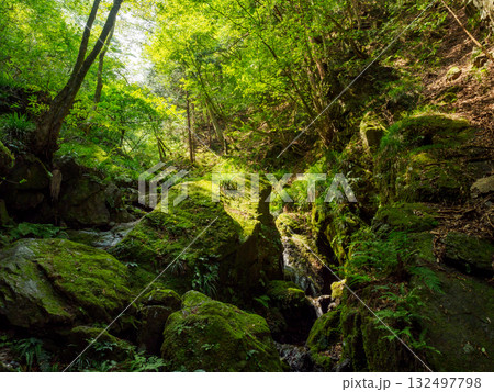 棒の折山の岩場 132497798