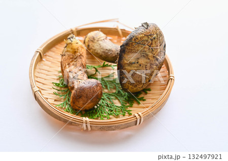 秋の味覚 イグチ 秋の味覚 イグチ 132497921