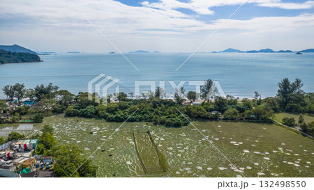 a Light Over Pui O Wetlands Hong Kong Oct 25 2025 132498550