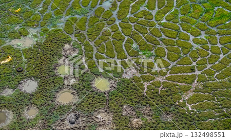 a Light Over Pui O Wetlands Hong Kong Oct 25 2025 132498551