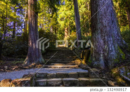 室生寺 132498917