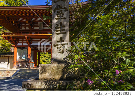 室生寺 132498925