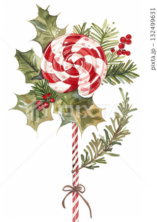 Colorful candy cane lollipop surrounded by festive holly leaves and pine branches for celebrating Christmas holidays. concept of celebrating christmas holidays 132499631