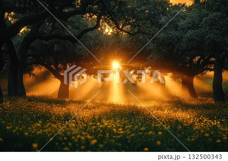 Majestic sun rays filtering through lush trees in a vibrant meadow during golden hour Majestic sun rays filtering through lush trees in a vibrant meadow during golden hour 132500343