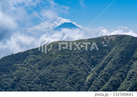 北岳の肩から見る雲海の富士山 南アルプスの北岳登山 北岳の肩から見る雲海の富士山 南アルプスの北岳登山 132500681