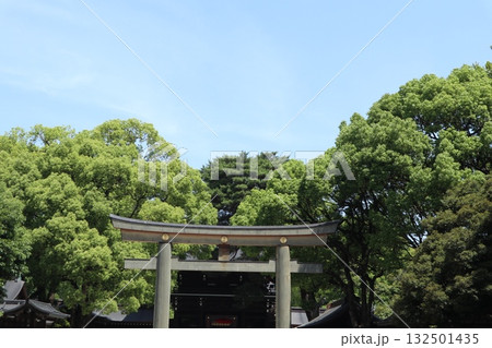 明治神宮　鳥居 132501435