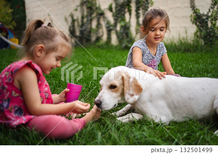 Two joyful girls playing with a friendly dog in a vibrant garden 132501499