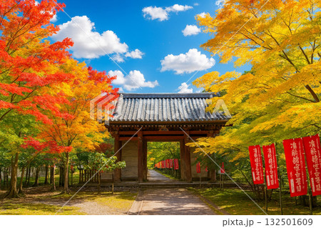 醍醐寺 日月門 紅葉 醍醐寺 日月門 紅葉 132501609