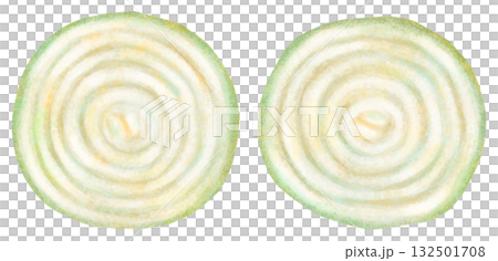 洋蔥切片橫斷面圖 洋蔥切片橫斷面圖 132501708