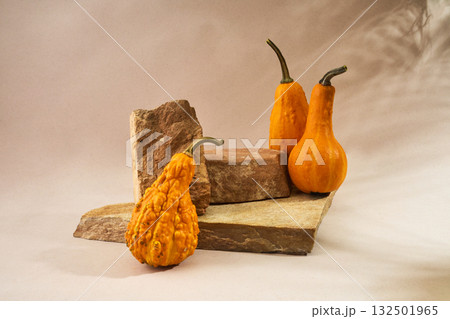 Autumn empty podium with decorative pumpkins 132501965