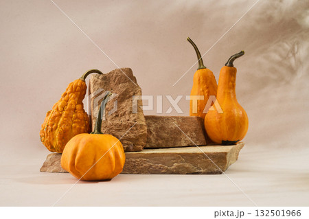 Autumn empty podium with decorative pumpkins 132501966