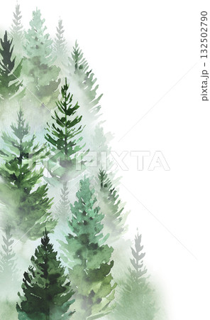 Hand drawn watercolor green spruce or pine tree misty forest border, winter isolated illustration 132502790