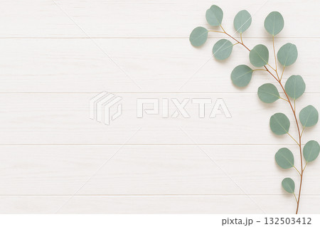 白い木目の板とユーカリの葉のナチュラルな背景素材 132503412