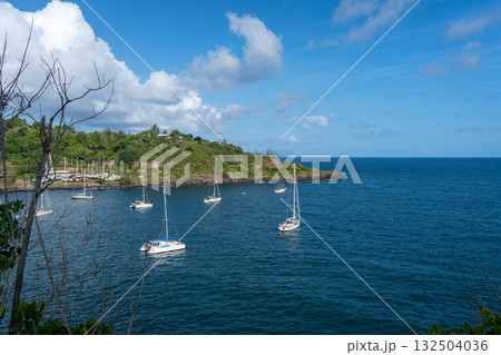 Sailboats anchored in Atuona Bay, Hiva Oa, French Polynesia, Marquesas Islands 132504036
