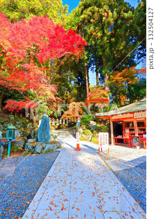 【香川県】四国霊場「第66番札所」紅葉した秋の雲辺寺 【香川県】四国霊場「第66番札所」紅葉した秋の雲辺寺 132504127