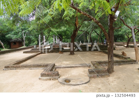 スリランカ 世界遺産 古都ポロンナルワ スリランカ 世界遺産 古都ポロンナルワ 132504493