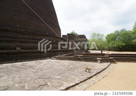 スリランカ　世界遺産　古都ポロンナルワ 132504506